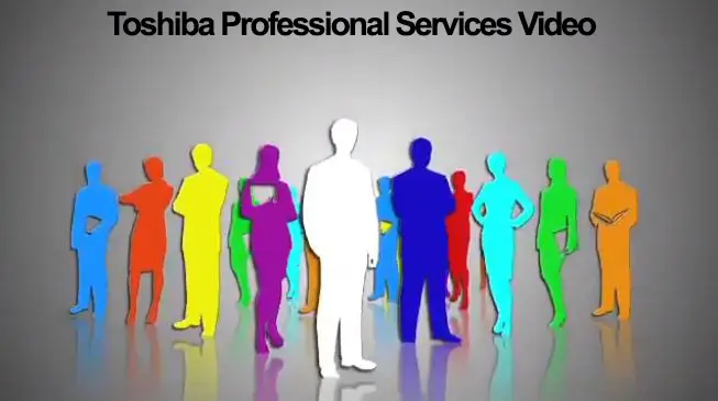Professional Services, Industry Solutions, Video, Vertical Markets, Toshiba, Viker Office