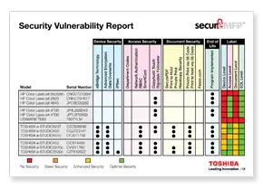 Vulnerability Report, MPS, MDS, Toshiba, Viker Office